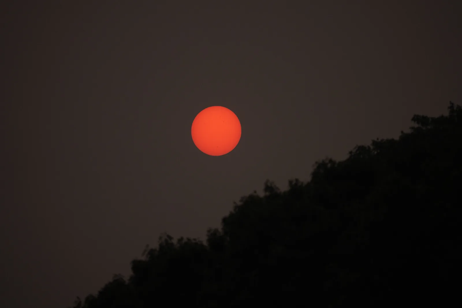 Oley, June 7
