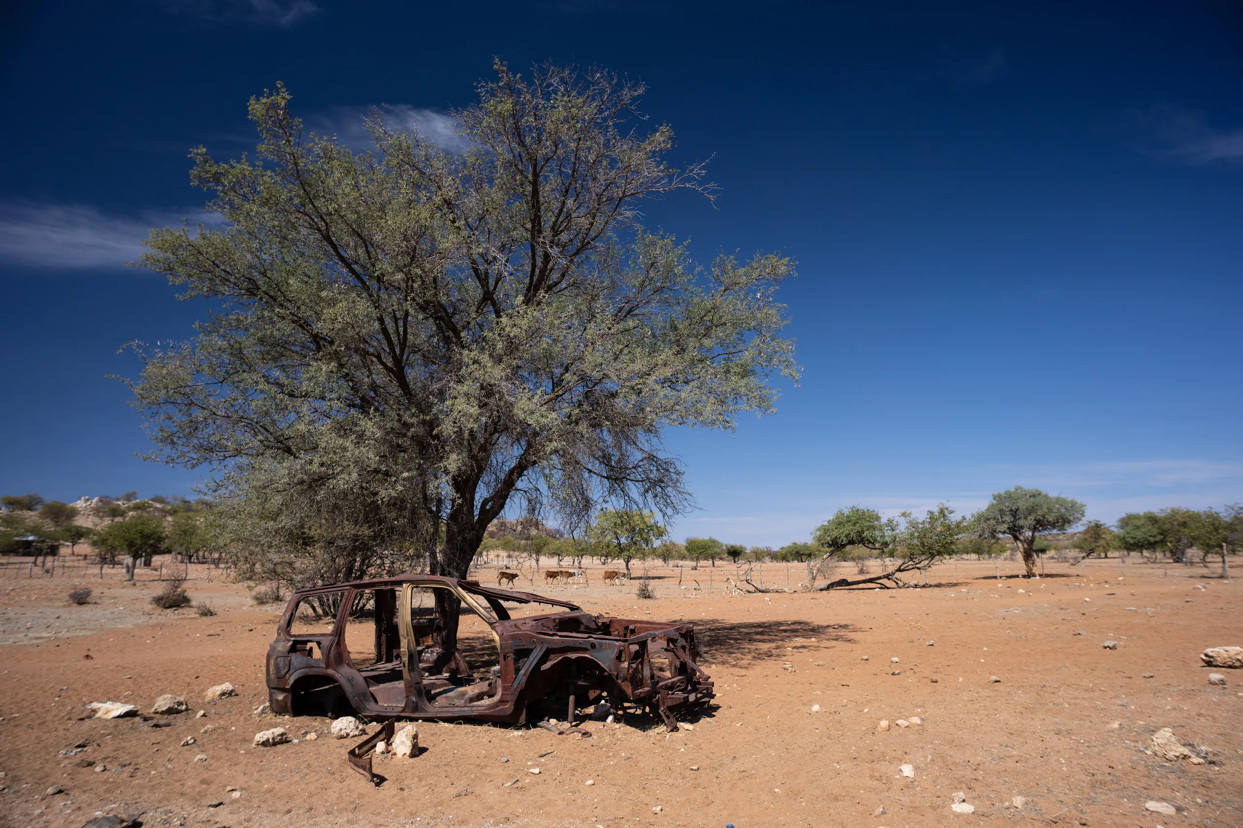 kunene region namibia